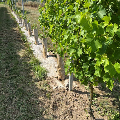 Protezione del suolo in canapa 56 cm – viti