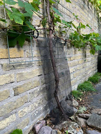 Protezioni per viti 60 cm BIO nere