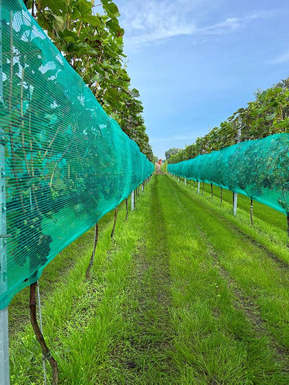 Rete di protezione contro vespe e grandine, verde