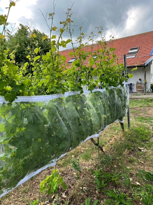 Rete di protezione contro vespe e grandine con chiusura in velcro, trasparente