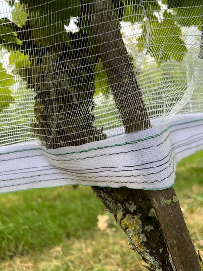 Rete di protezione contro vespe e grandine con chiusura in velcro, trasparente