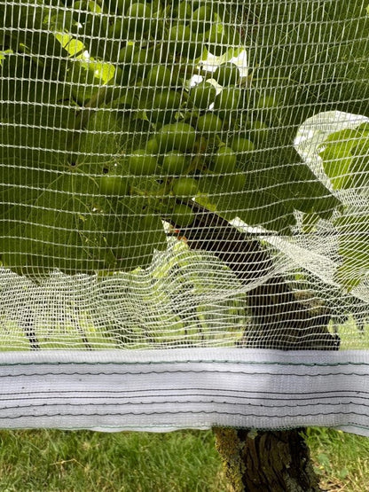 Rete di protezione contro vespe e grandine con chiusura in velcro, trasparente
