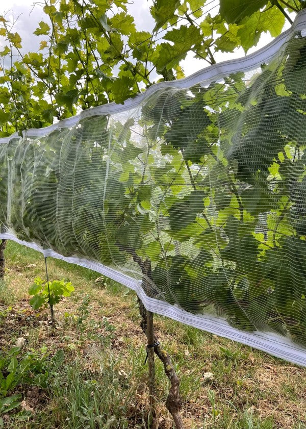 Rete di protezione contro vespe e grandine con chiusura in velcro, trasparente