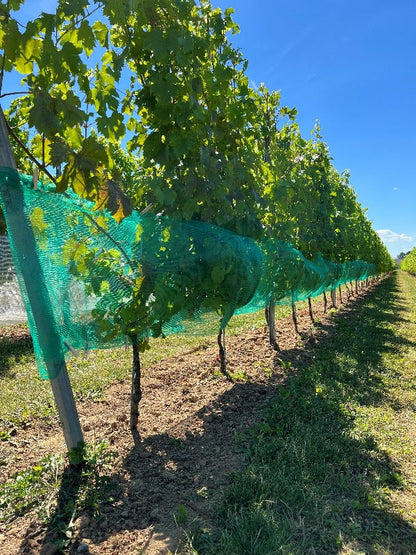 Rete di protezione contro vespe e grandine, verde